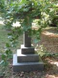 image of grave number 255136